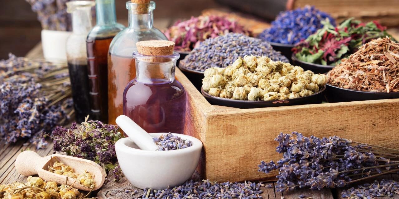 From Passion to Prosperity: Building a Thriving Healing Business