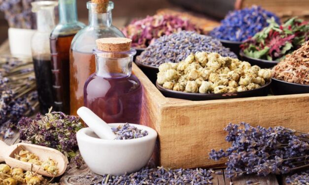 From Passion to Prosperity: Building a Thriving Healing Business